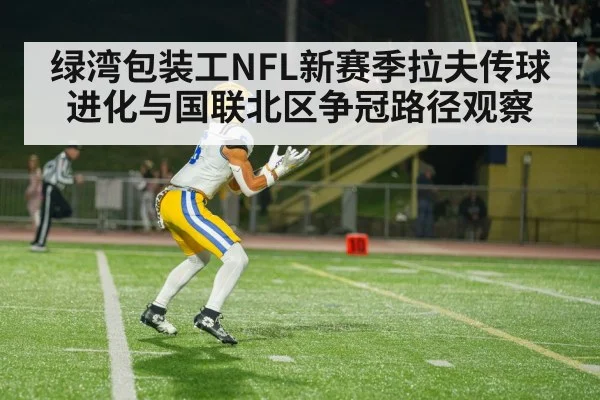 american football receiver catch